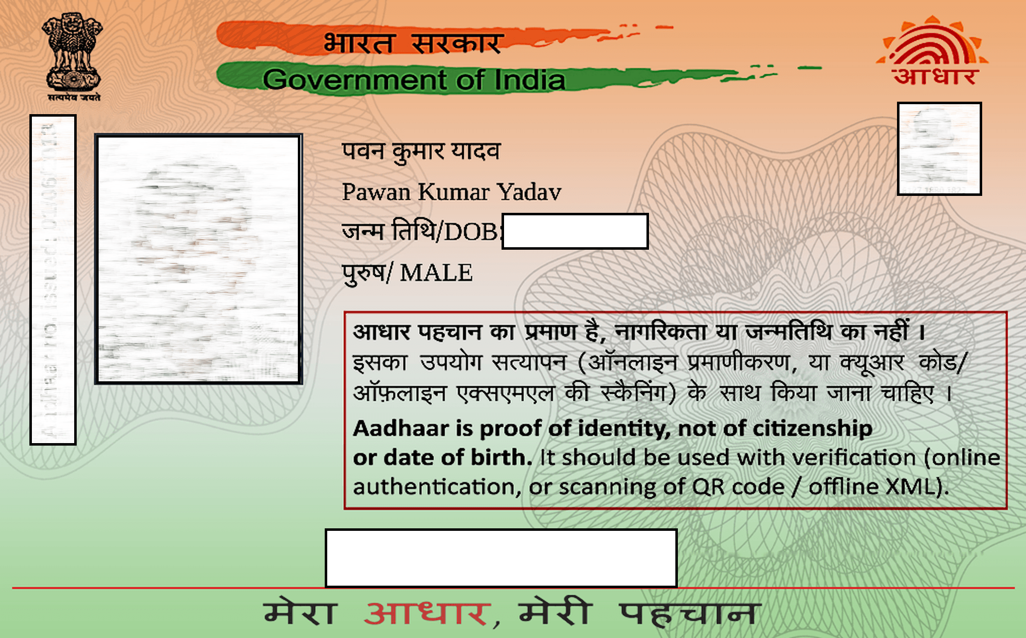 VIP Color Aadhaar Front Sample